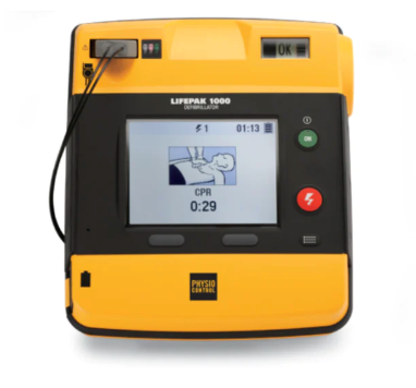 What is Difference between LifePak 1000 ECG Display and Graphical Display?
